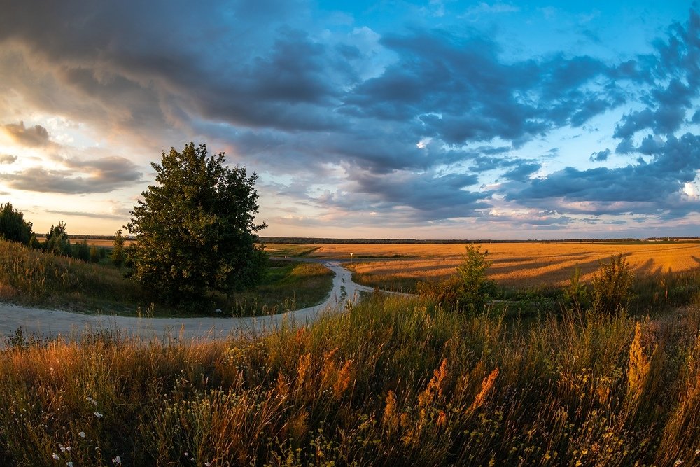 По летней дороге