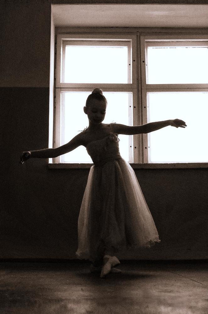 Фотография автора Светлана Дубина