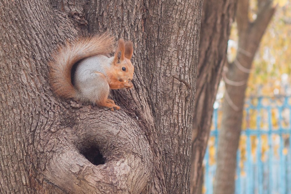 Photograph by Дина Горбачёва