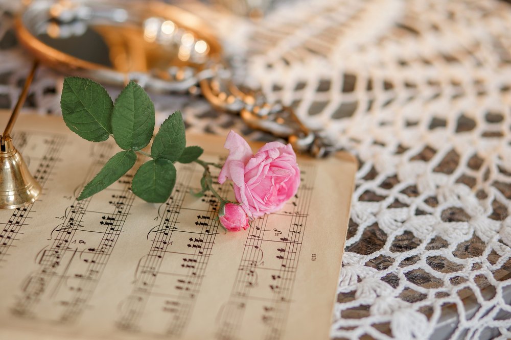 Photograph by Татьяна Бушук