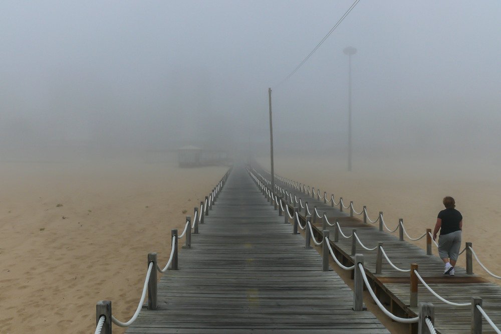 Photograph by 