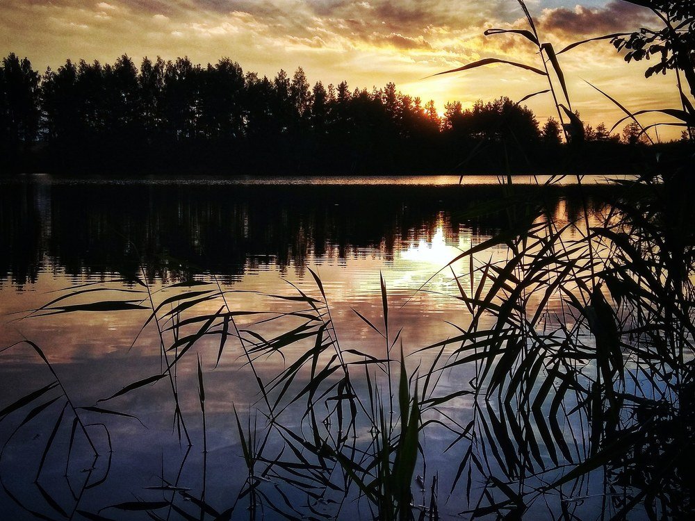 Photograph by Надежда Филимонова
