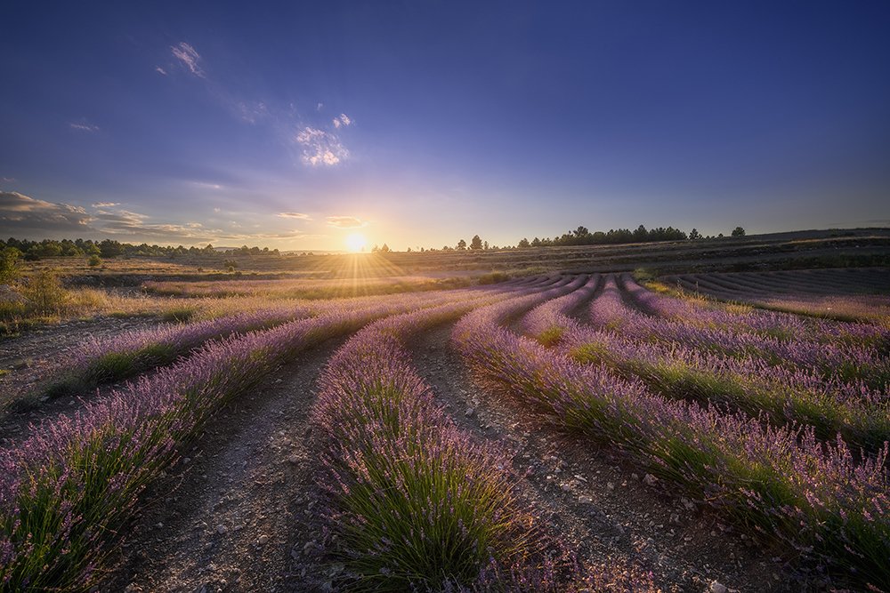 Photograph by Jose Herrero Ureña