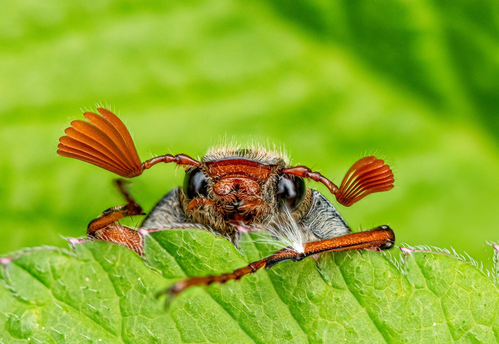 Photograph by  Mykhailo