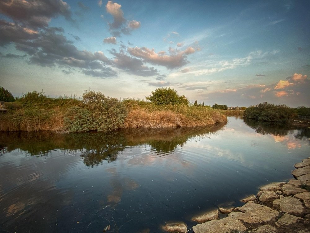 Photograph by Yelena Yakubov