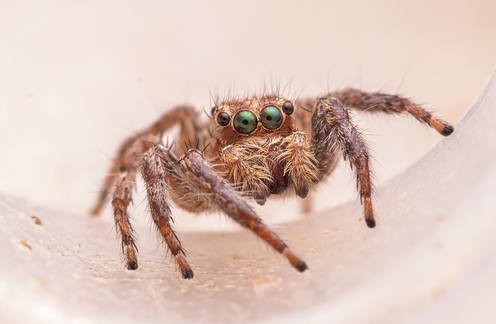 Photograph by Souvick Mukherjee