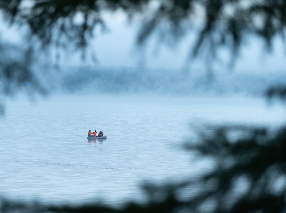 Photograph by Александр Кононов