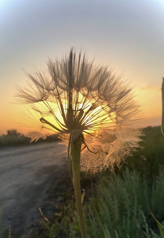 Photograph by Ирина Молибог