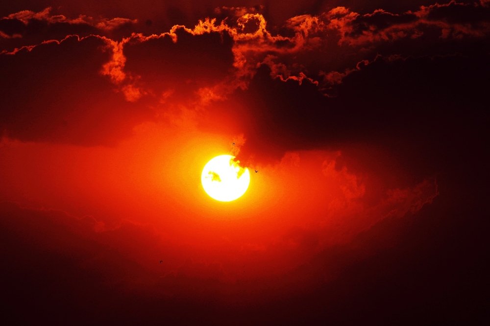 Фотография автора Pranay Shah