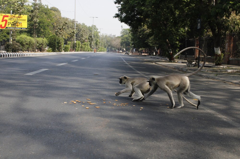 Фотография автора Pranay Shah