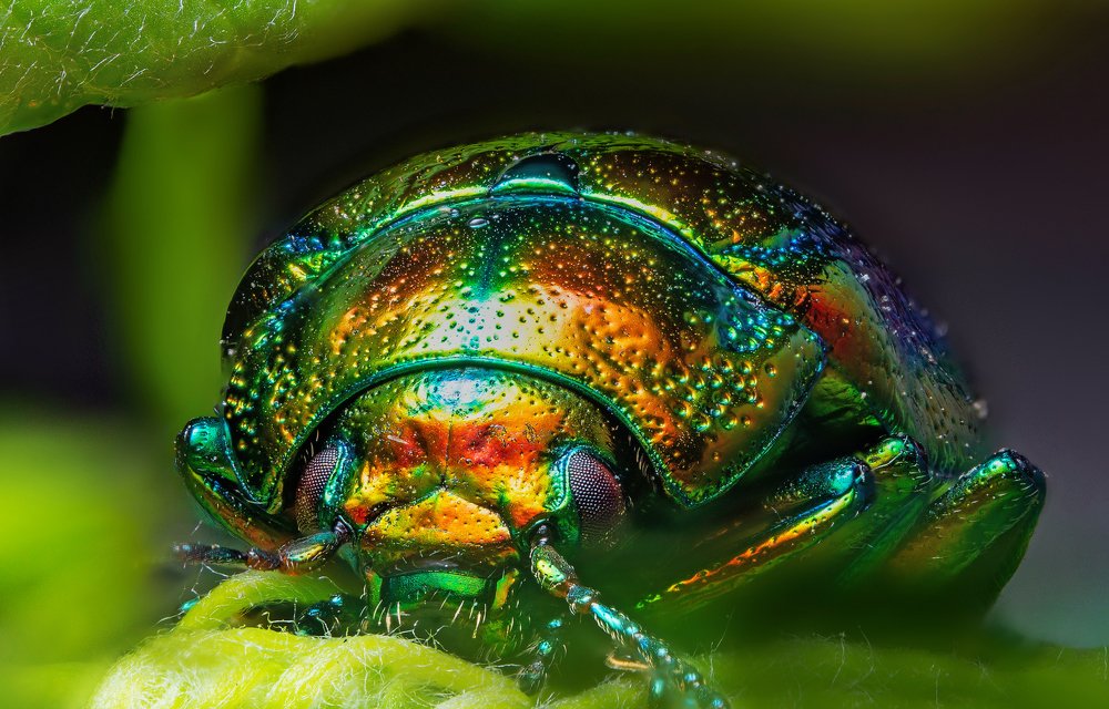 Photograph by Иван Радьков