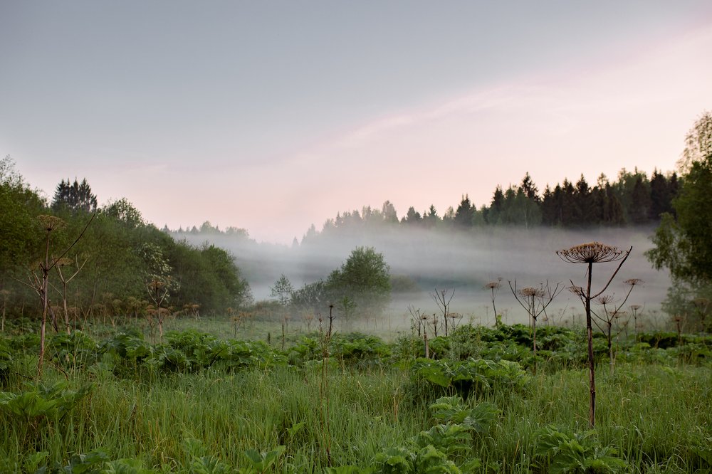 Photograph by Светлана Демина