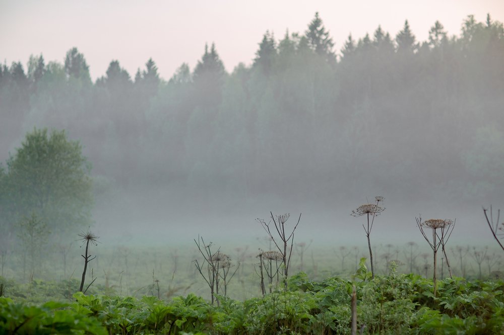 Photograph by Светлана Демина