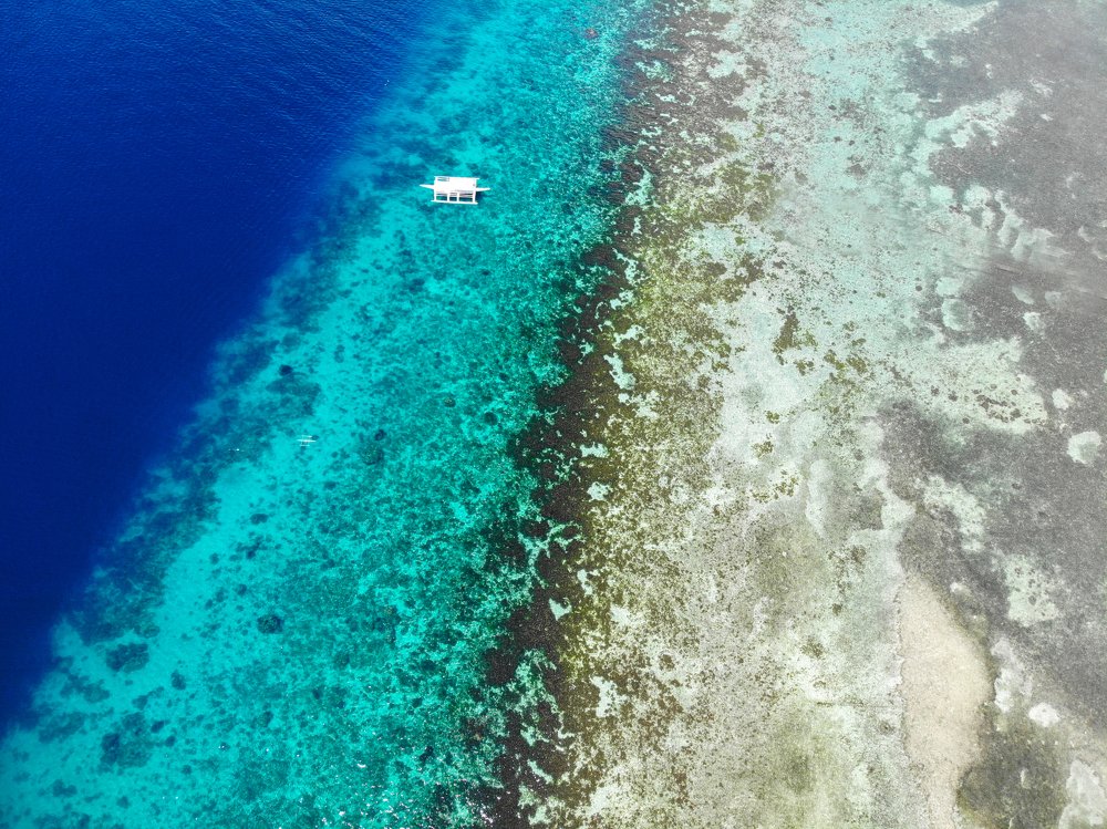 Photograph by Светлана Демина