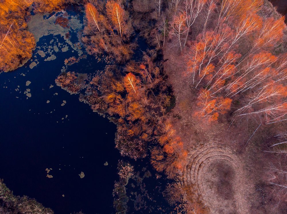 Photograph by Светлана Демина