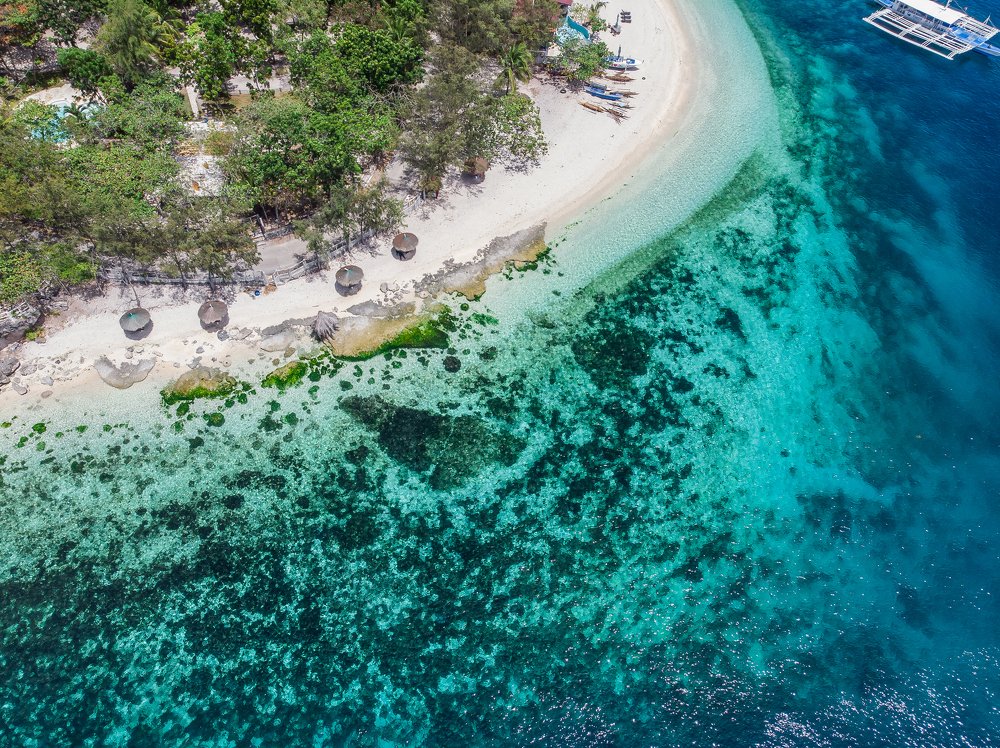 Photograph by Светлана Демина