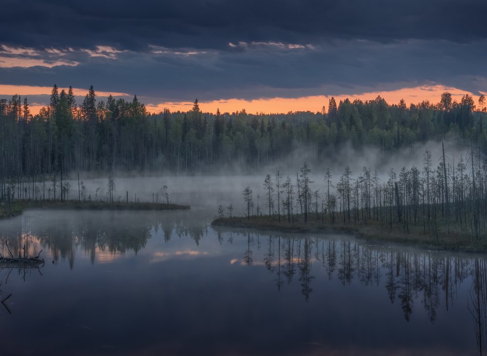 Тишина рассвета