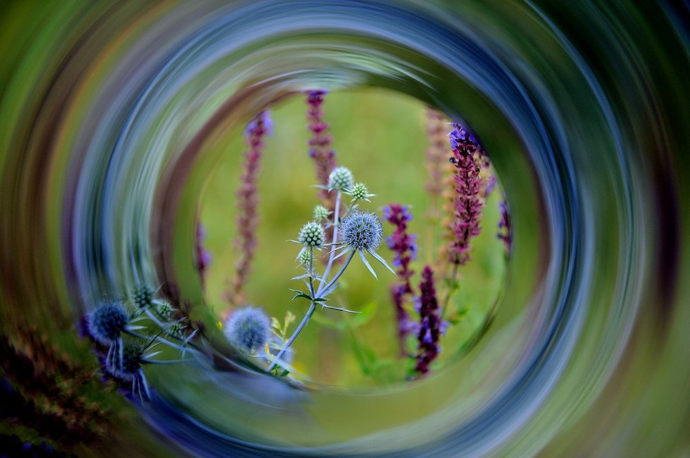 Июльское головокружение. (July vertigo.)