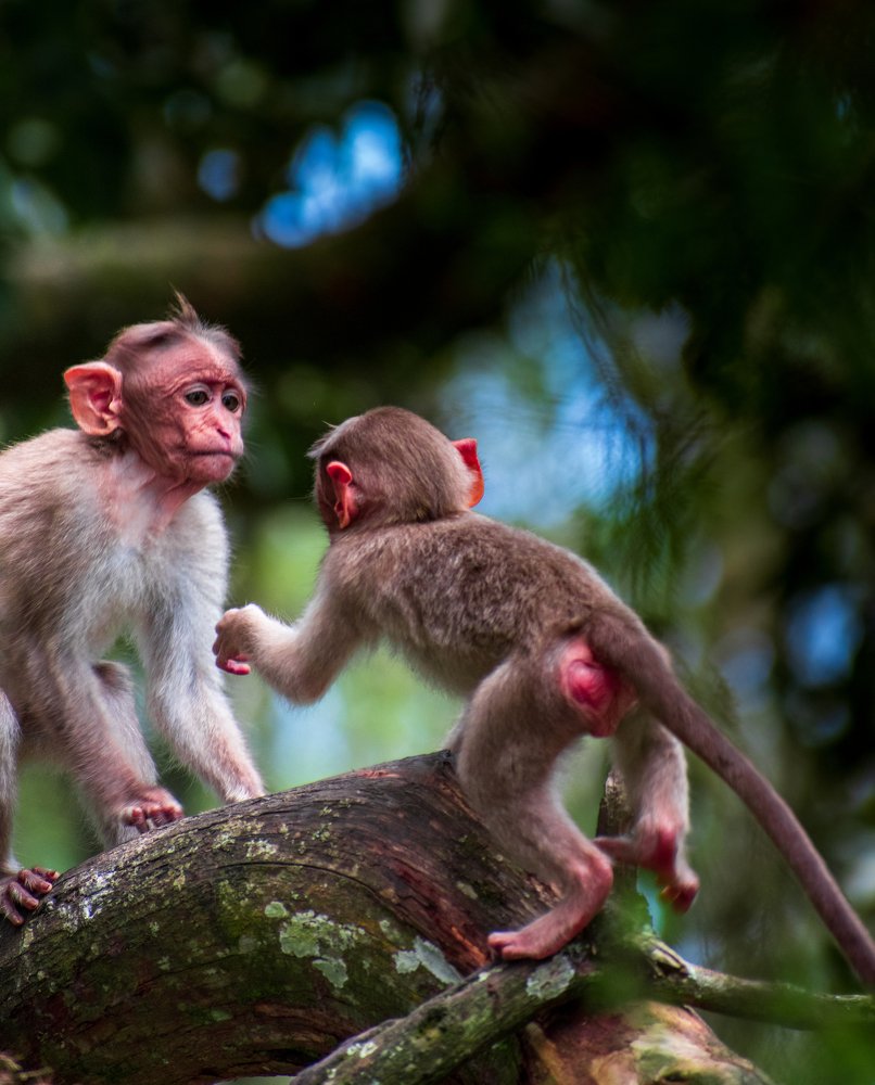 Give me a hand Dude!!!