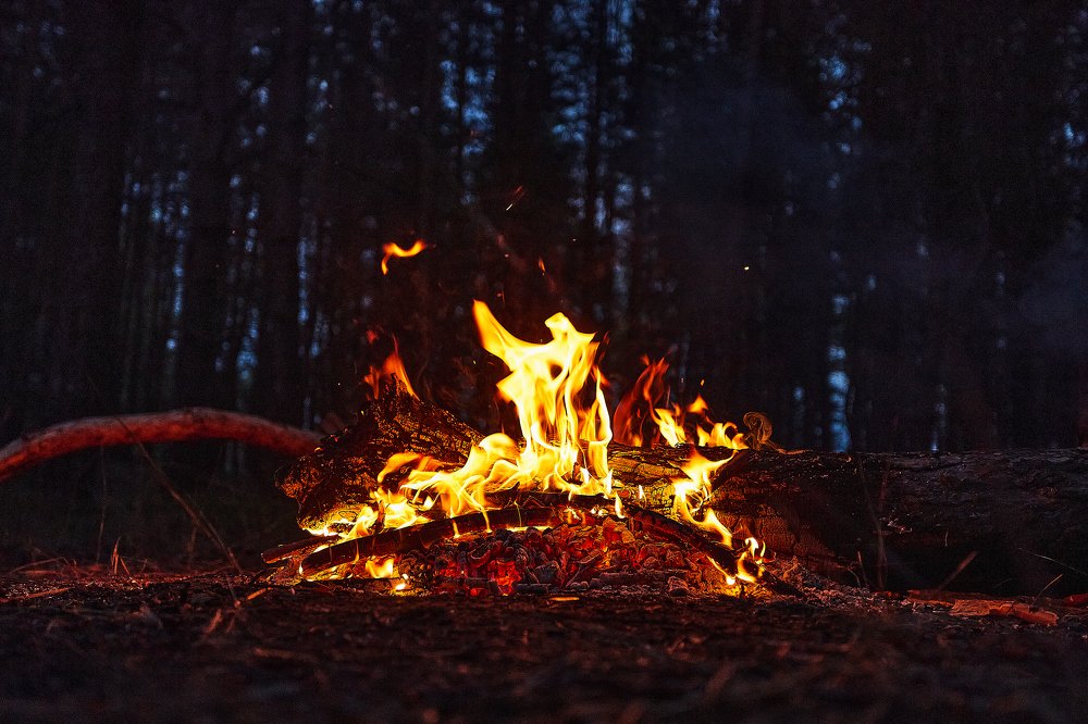 Photograph by Дмитрий Лепаков