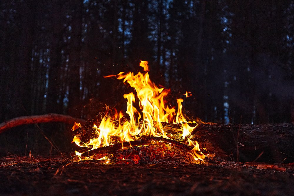 Photograph by Дмитрий Лепаков