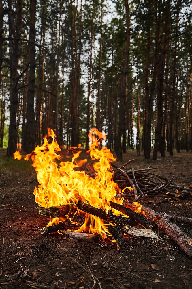 Photograph by Дмитрий Лепаков