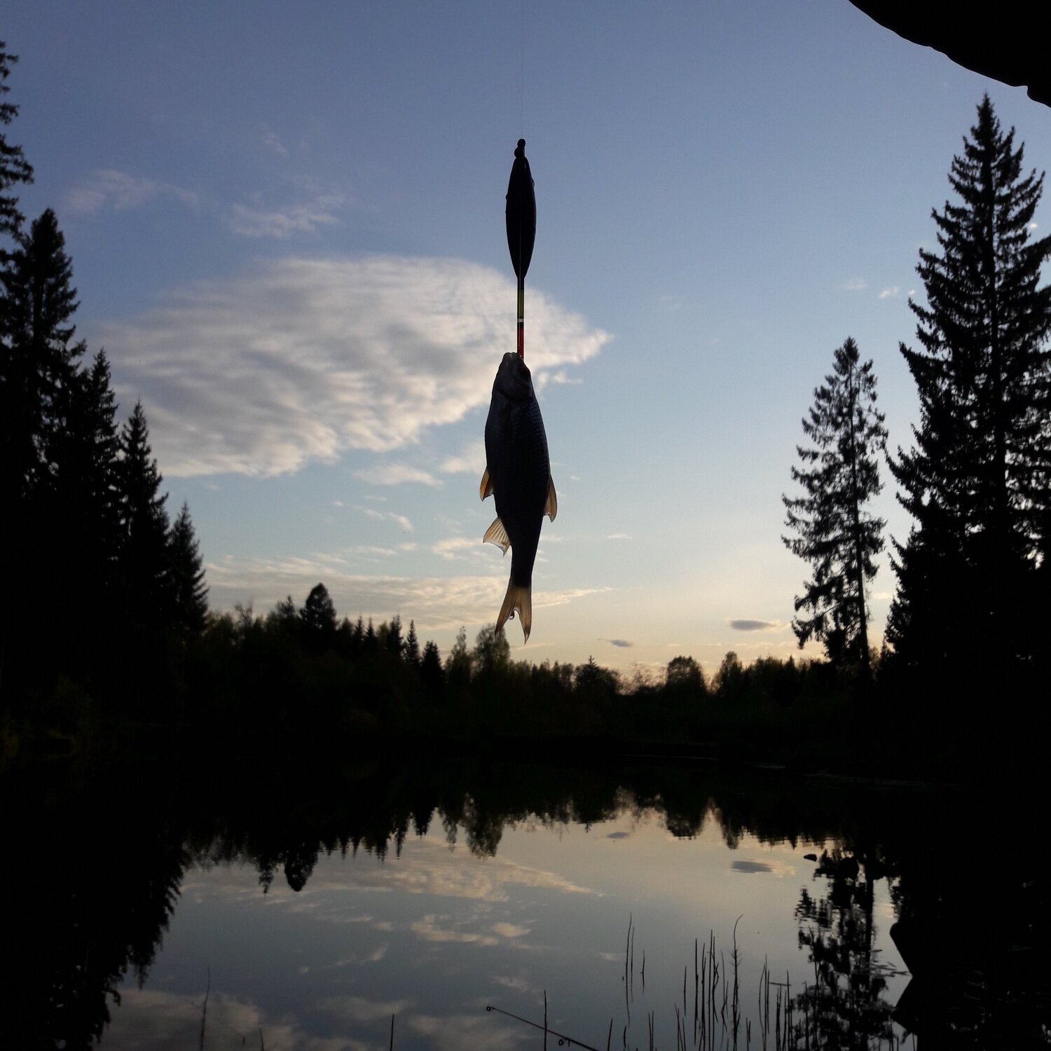 Photo #4790931