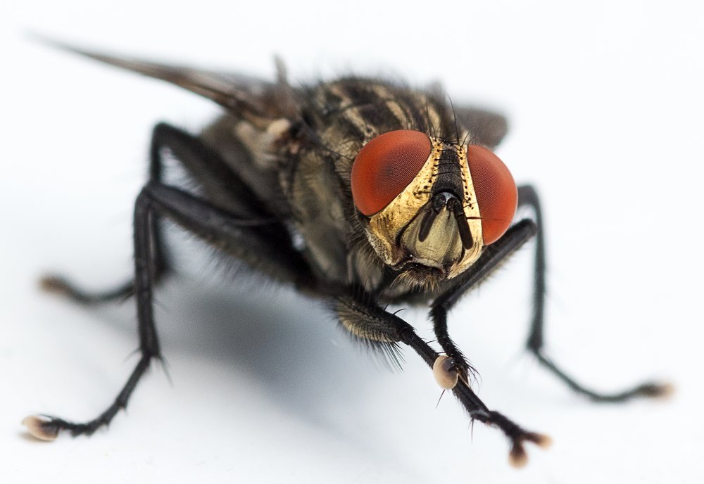 Photograph by Сергей Савенков