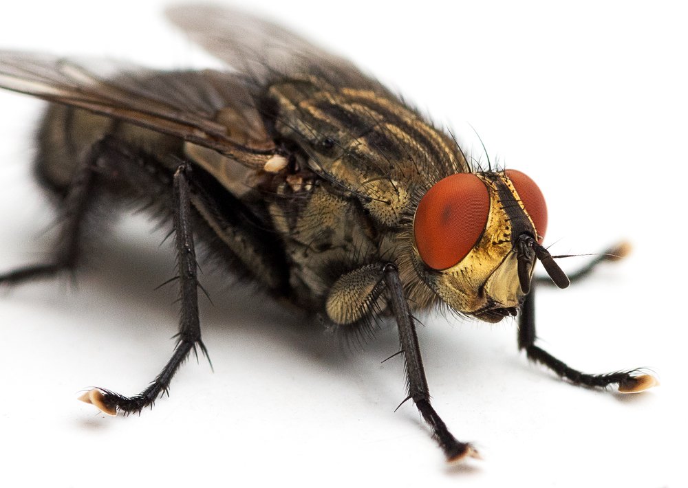 Photograph by Сергей Савенков