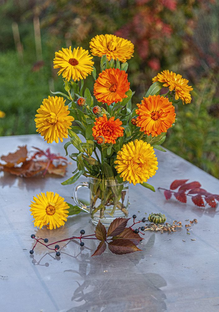 Photograph by Vladimir  Komarov