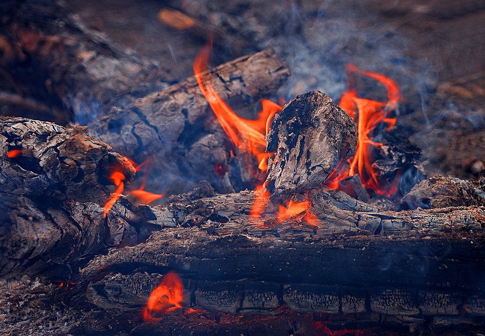 Photograph by Александр Шипиленко