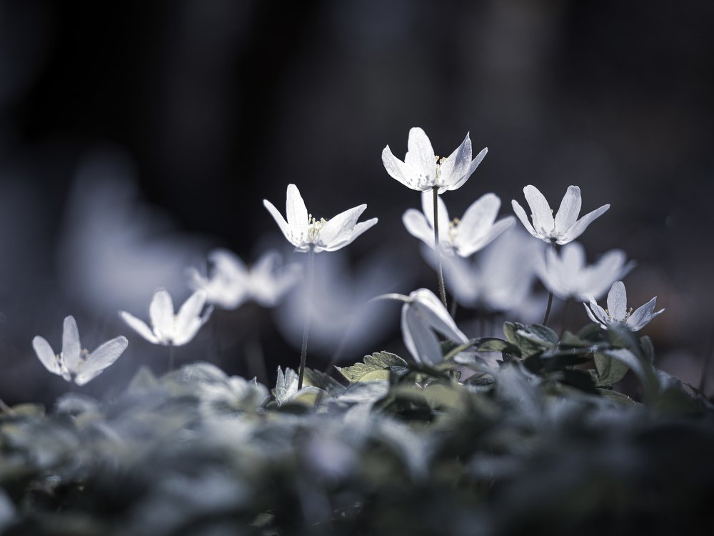 Photograph by Sylwia Ratajczyk