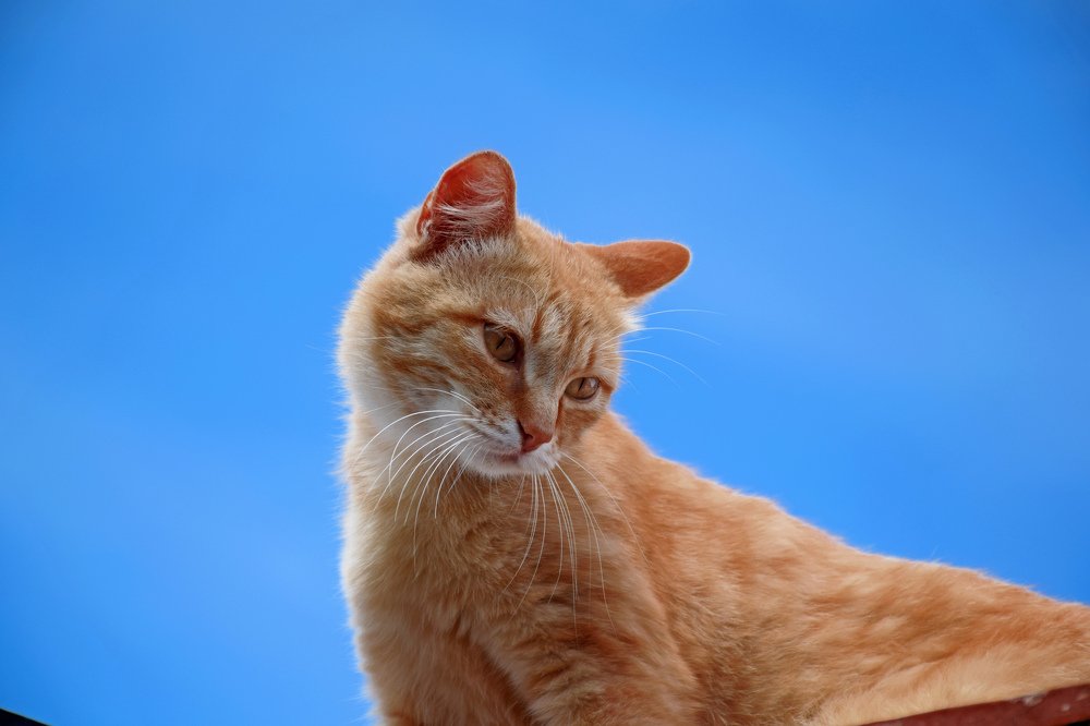 Photograph by Татьяна Дорожко