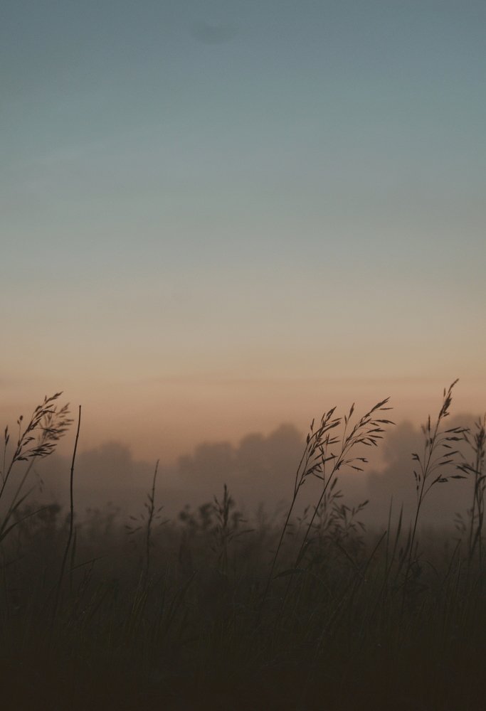 Photograph by Анатолий Жуков