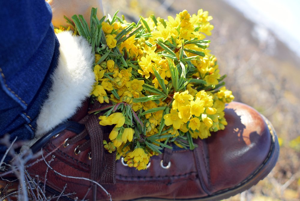 Photograph by Татьяна Дорожко