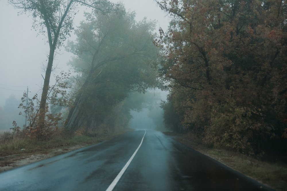 Photograph by Анастасия