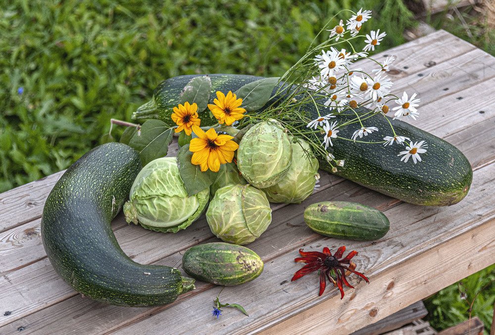 Photograph by Vladimir  Komarov