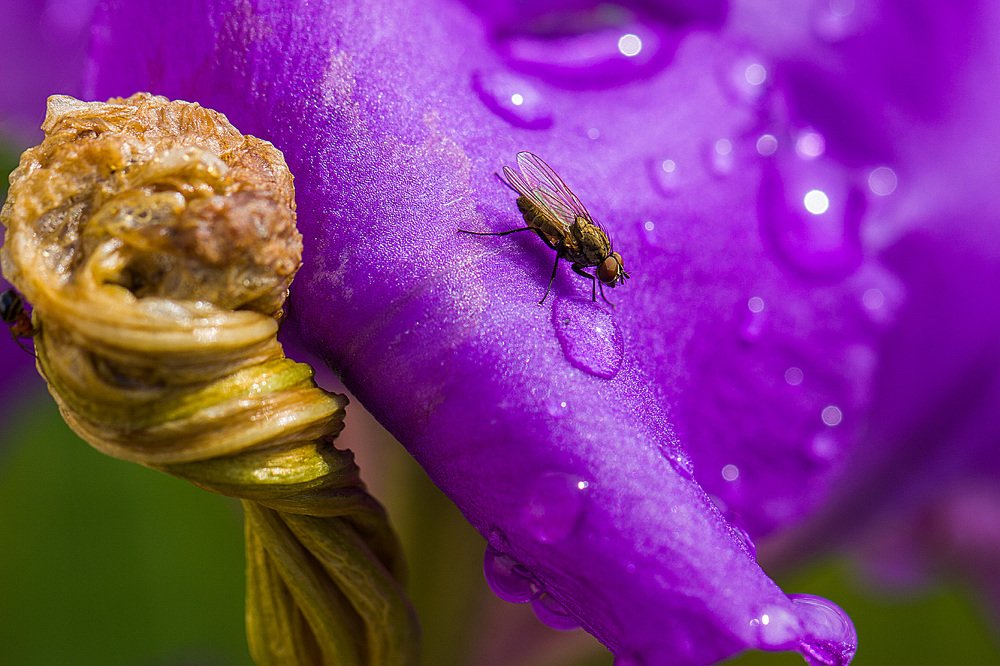 Photograph by Максим Иванов