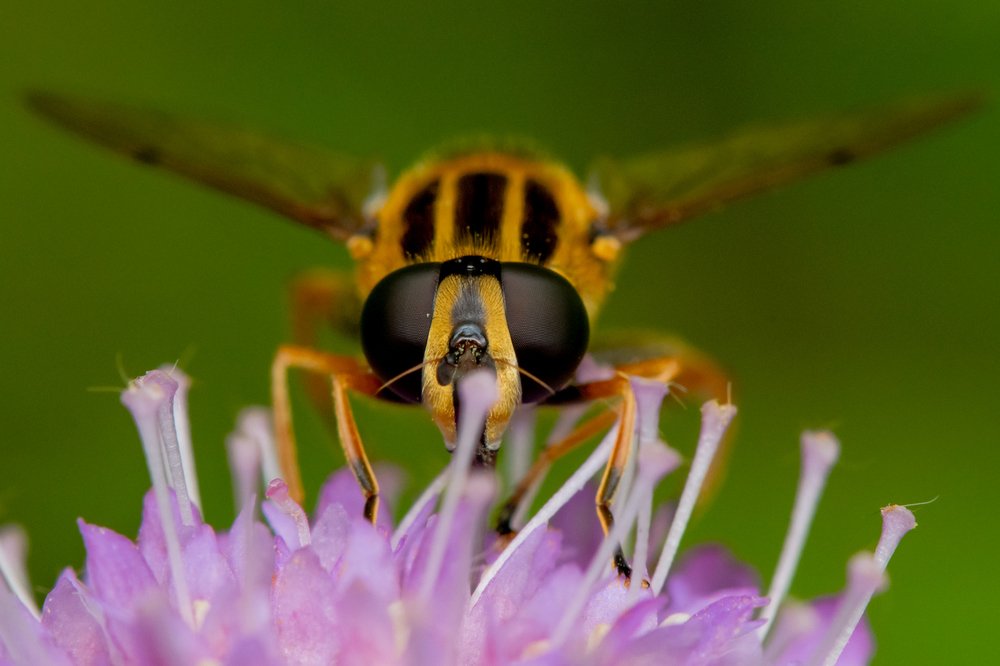 Photograph by Андрей Зуев