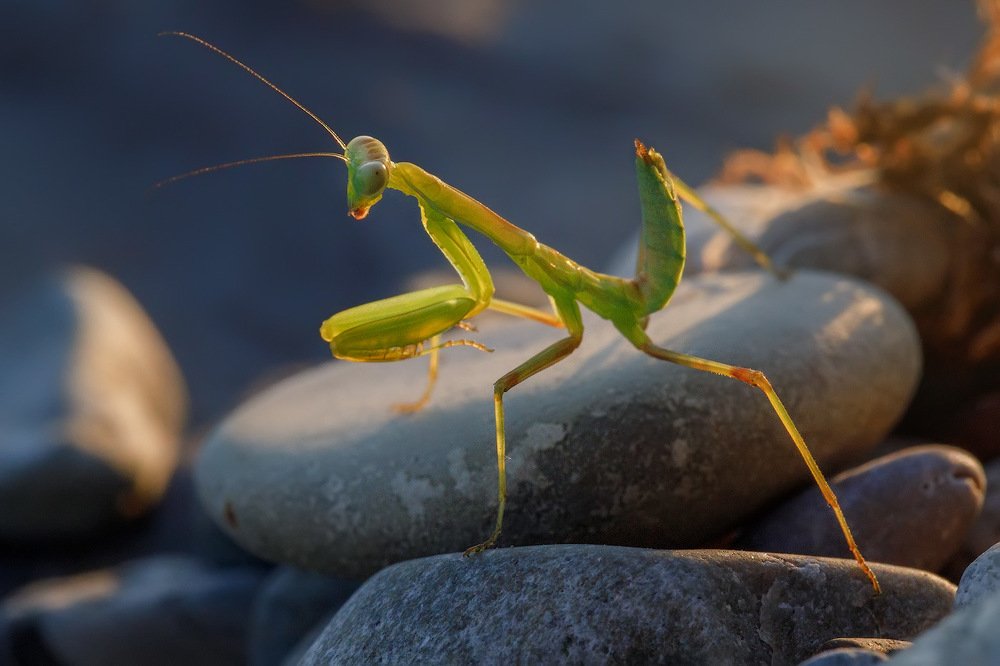 Photograph by Аркадий Саямов