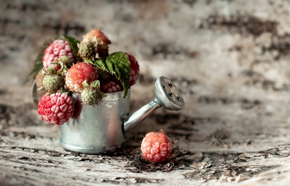 Photograph by Елена Мирзоева