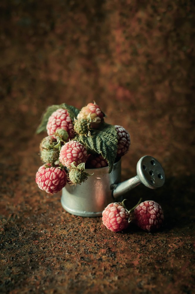 Photograph by Елена Мирзоева