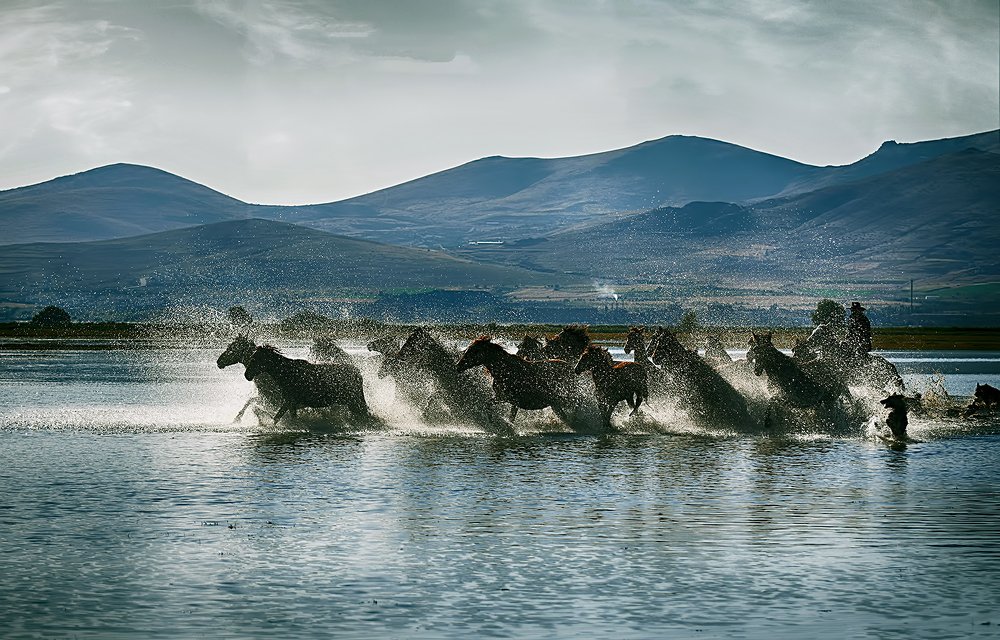 Фотография автора AYLIN EROZCAN