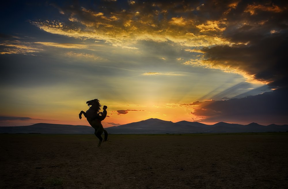 Фотография автора AYLIN EROZCAN