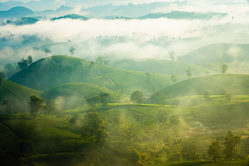 Фотография автора quach nam