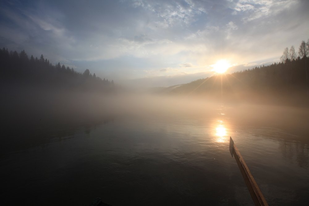 Photograph by 