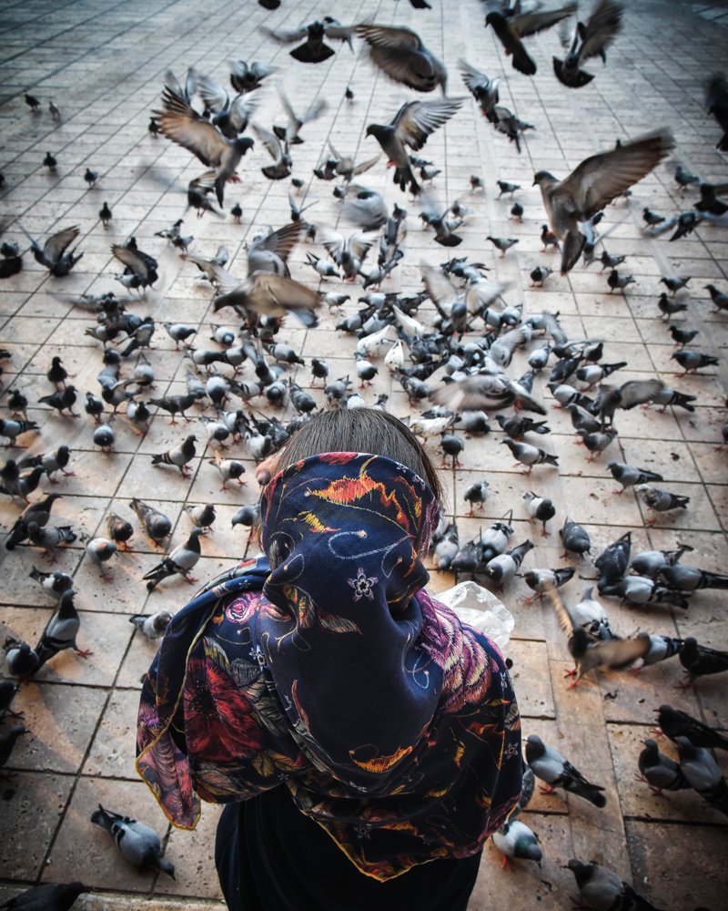 Photograph by MohammadReza Mrd