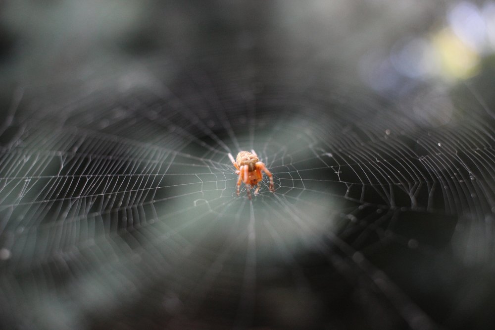 Photograph by Марина Евграфова