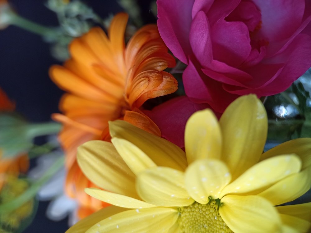 Photograph by Виктория Шереметьева