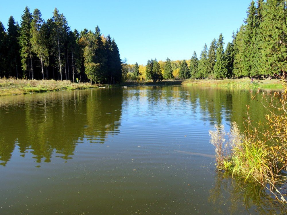 Photograph by Дмитрий Сорокин